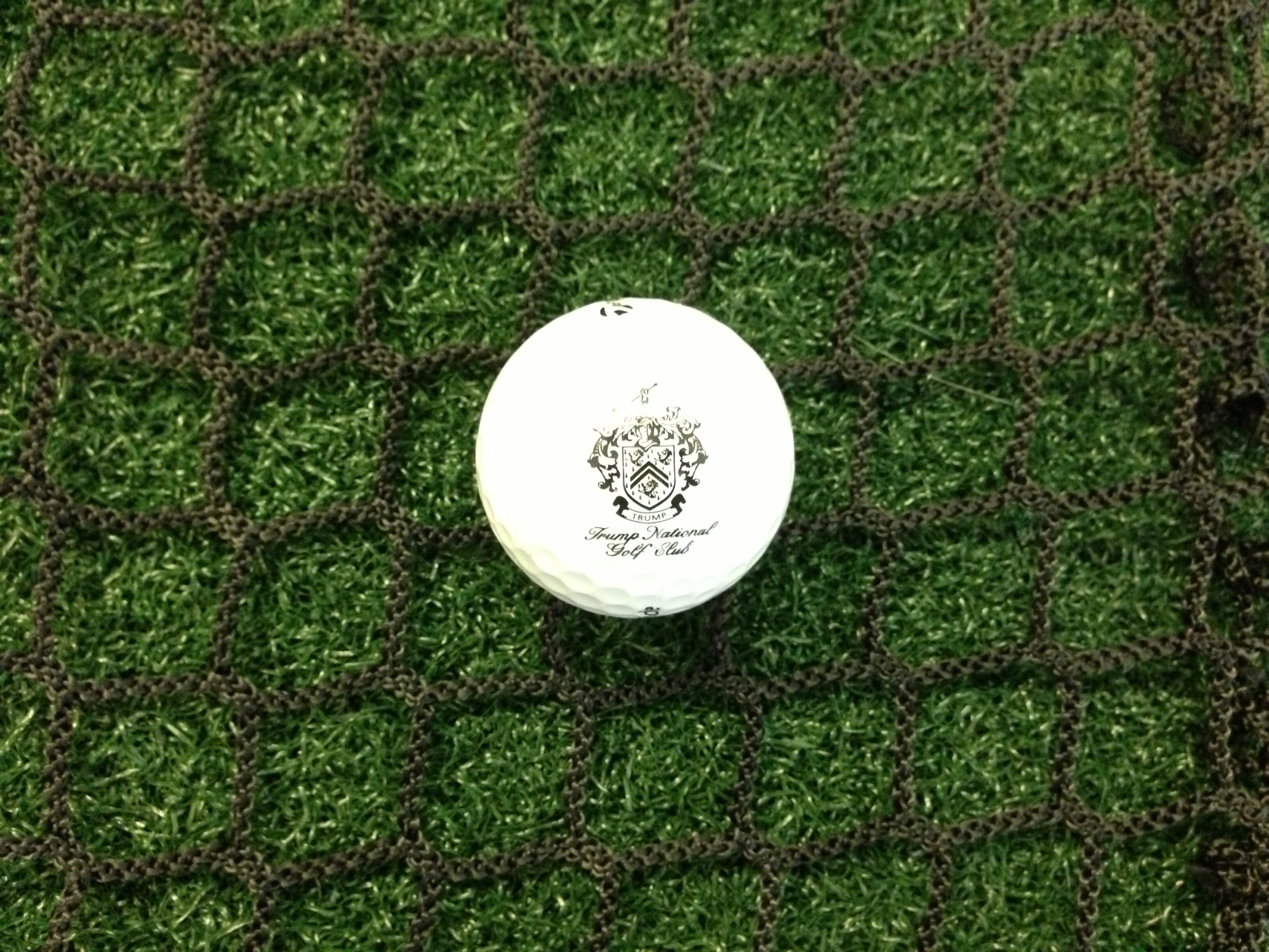 z Golf Net 1 inch